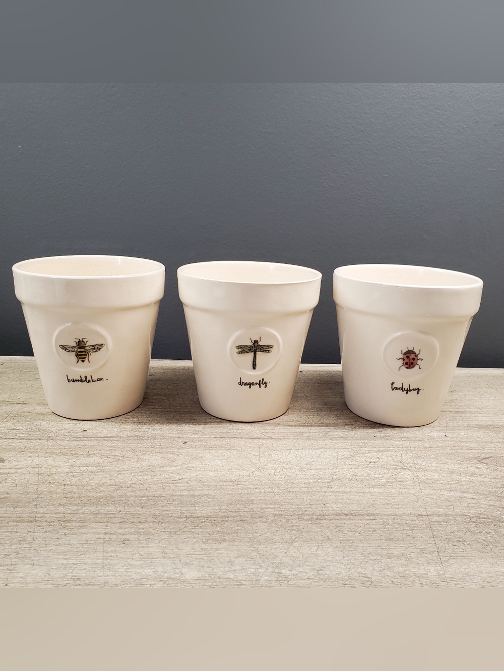 3 Rae Dunn planters with insect design